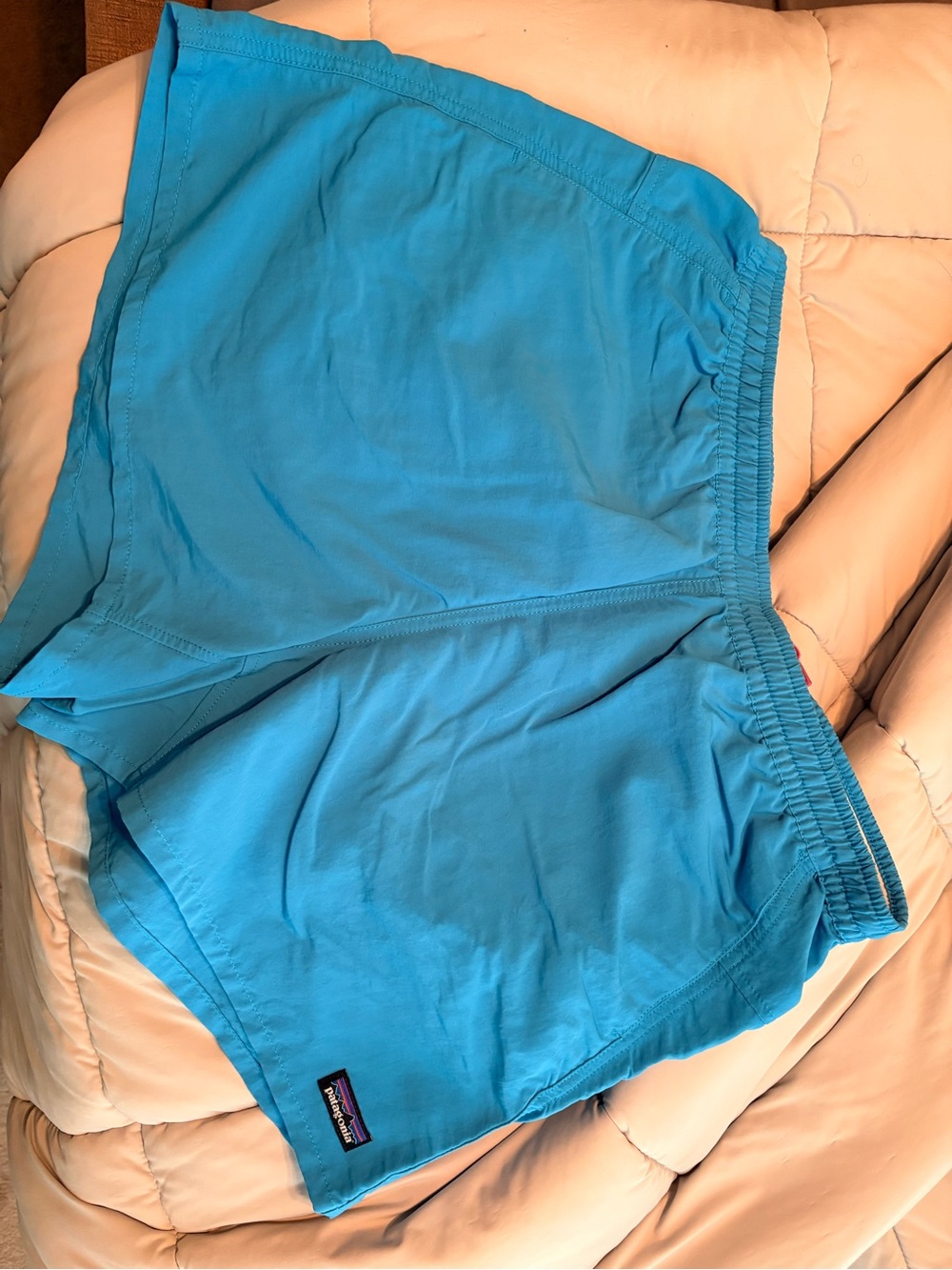 Patagonia Blue Women’s Shorts